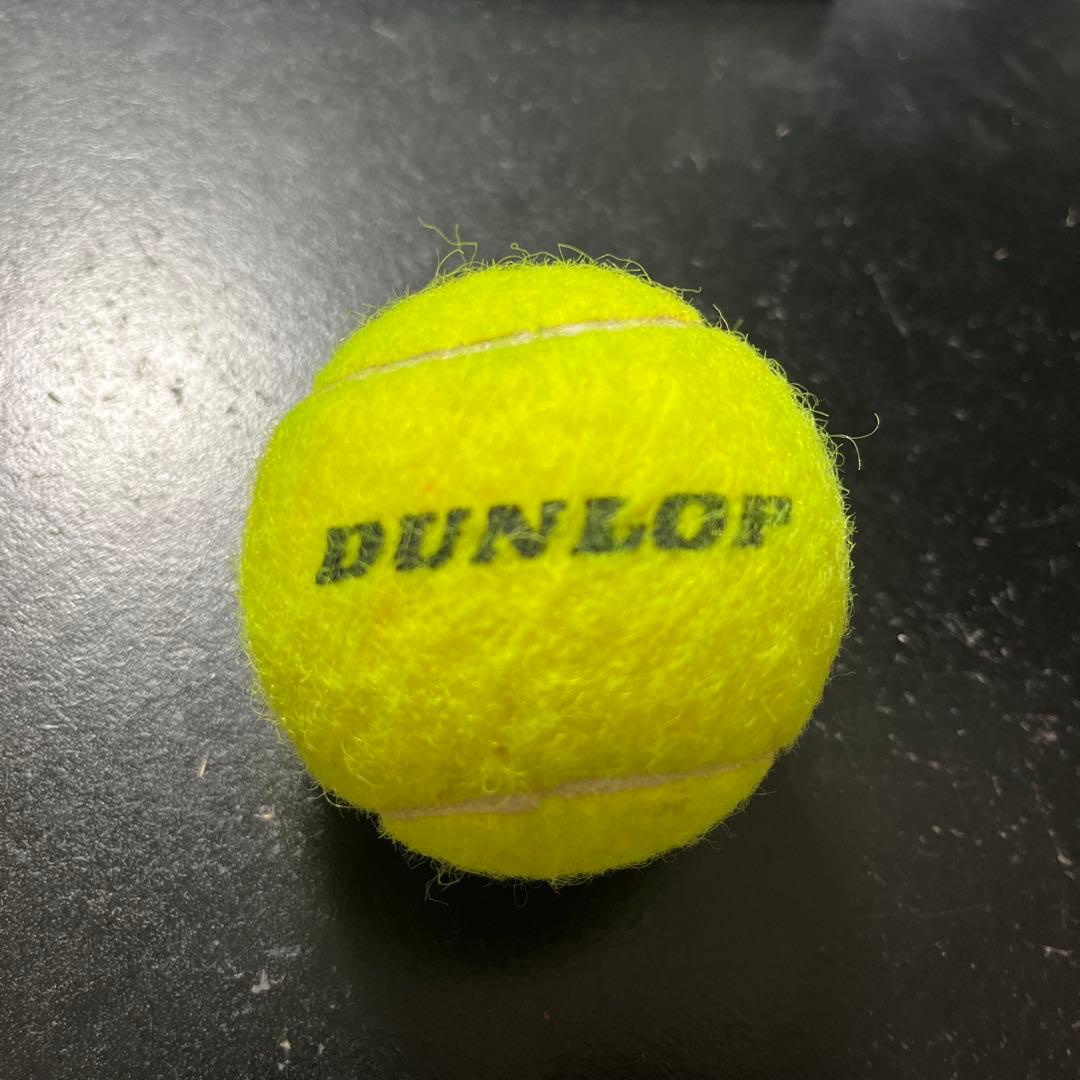 DUNLOP AO 2019 テニスボール