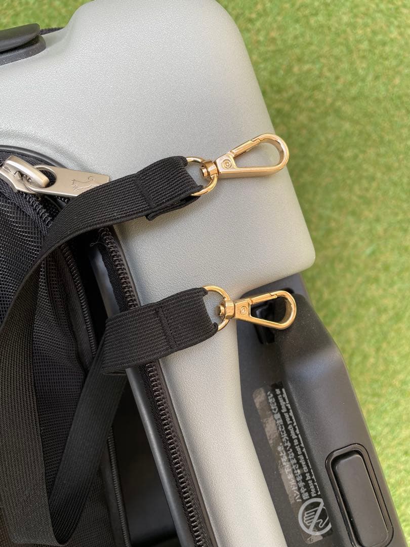 ペチコ ペットキャリーケース　Lサイズ 【サンドグレー】