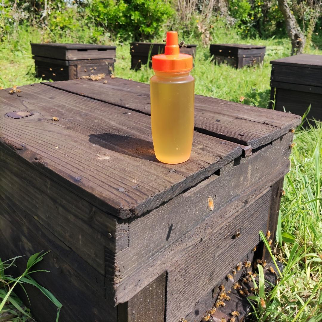✴️アカシア蜜１０本　生はちみつ　自家製蜂蜜