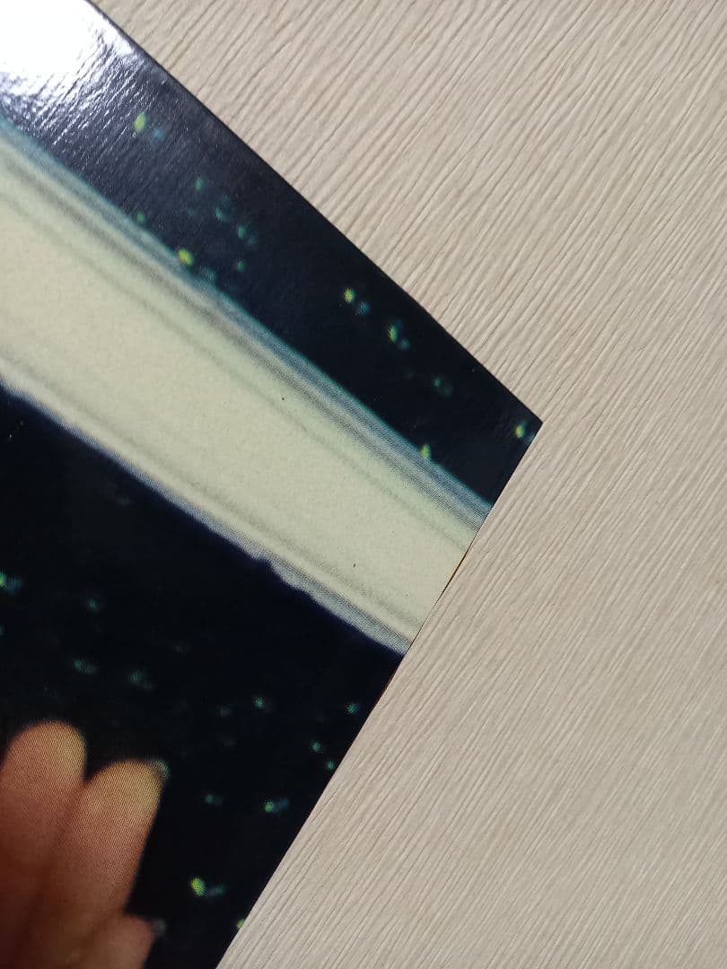 希少　当時物　アグネス　ラム　フォトグラフ　パネル　ポスター　木製　フレーム