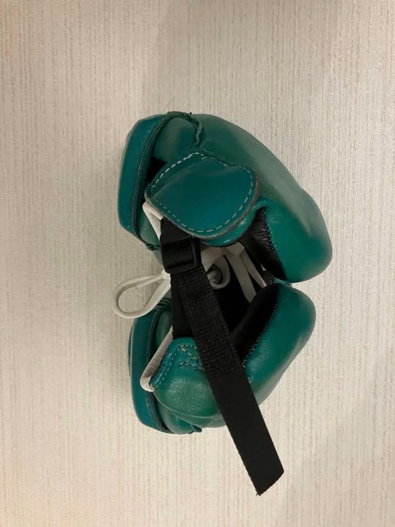 Winning ヘッドギア フルフェイスタイプ グリーン L FG-2900