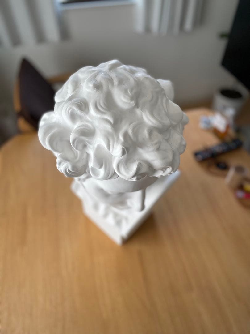 メディチ　石膏像