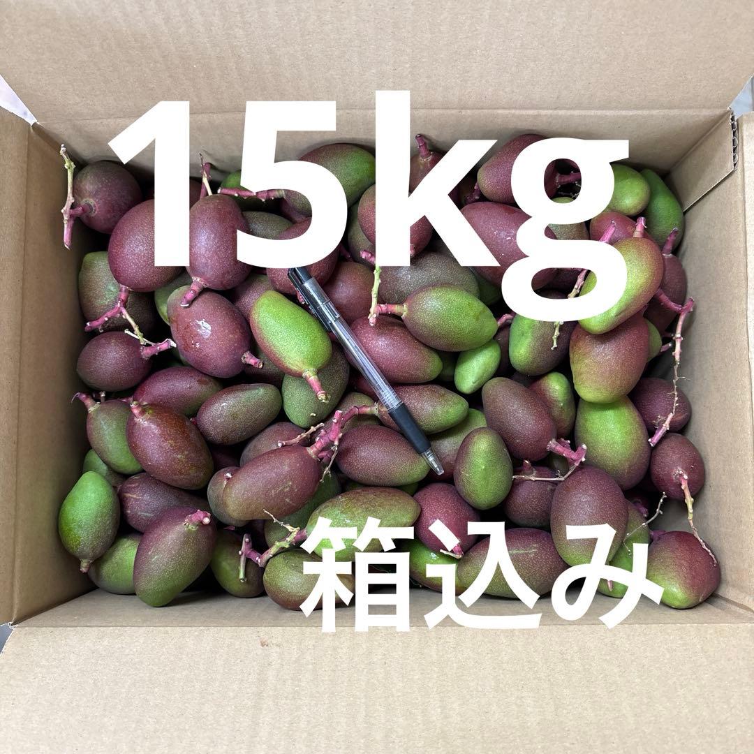 摘果マンゴー　15kg箱込み