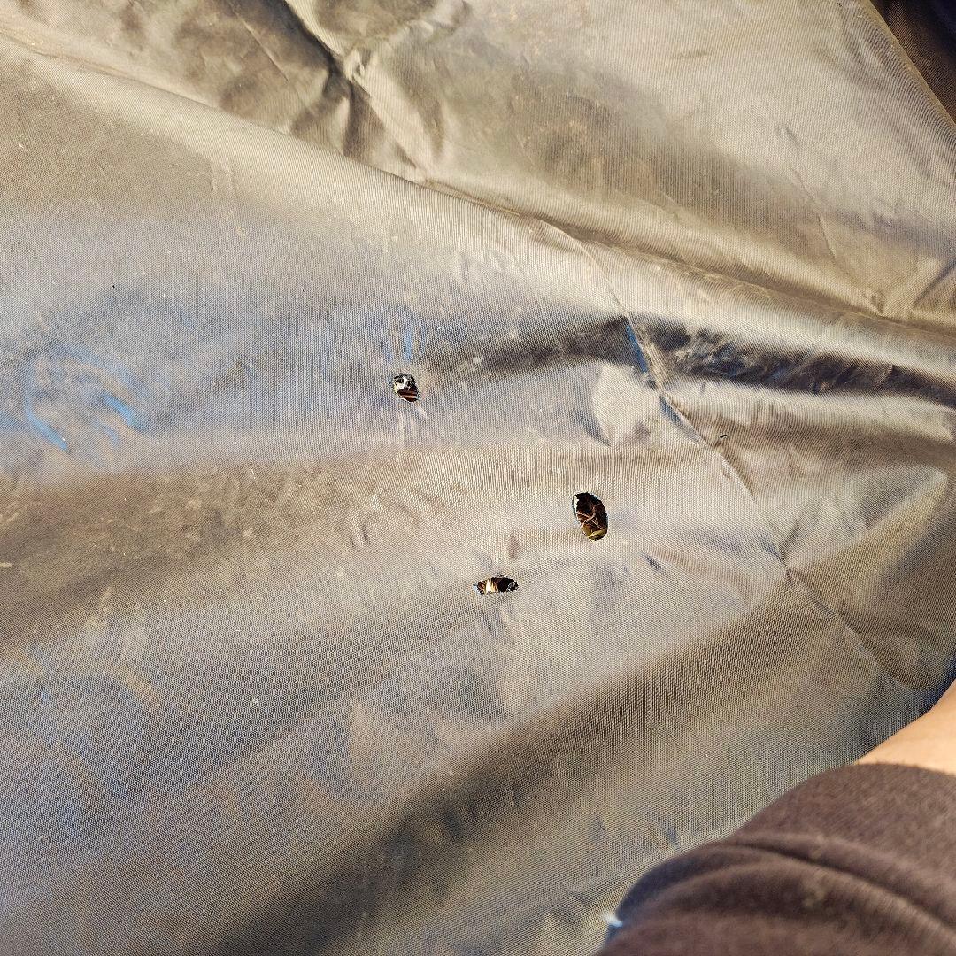 TOMOUNT DOME-OTTO S2 PRO Mサイズ