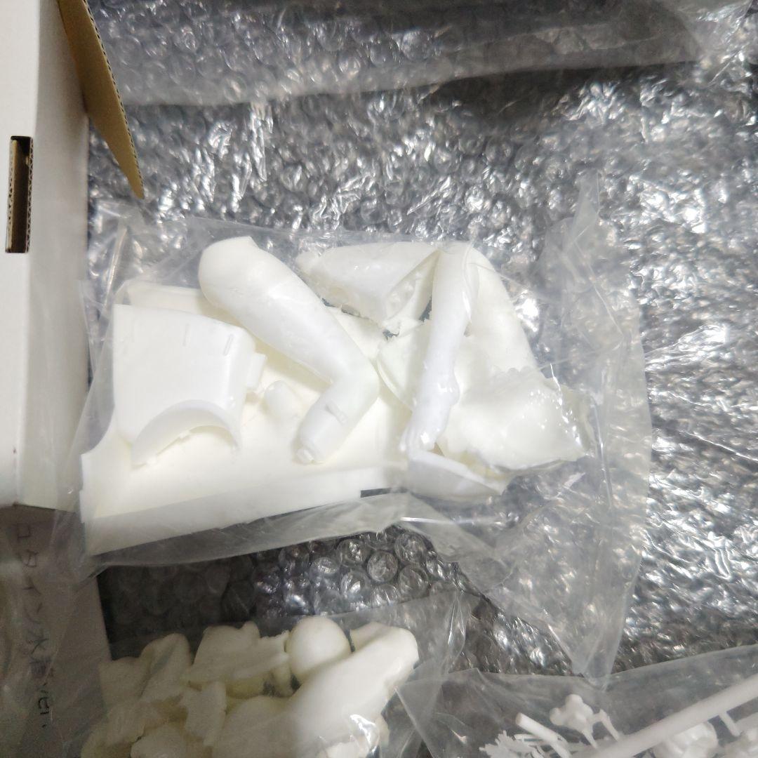 FATE　フランケンシュタイン　水着　ガレージキット　未組立