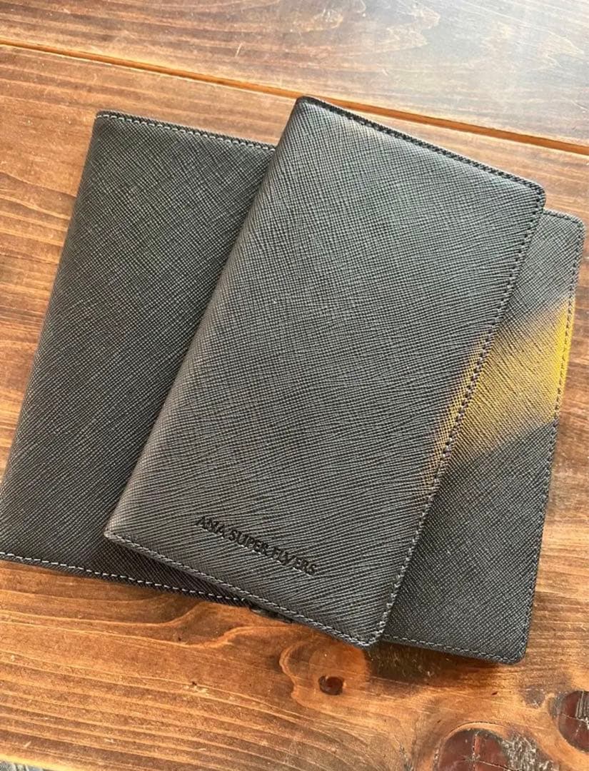 非売品　モデルプレーン　ANA 1/200 737