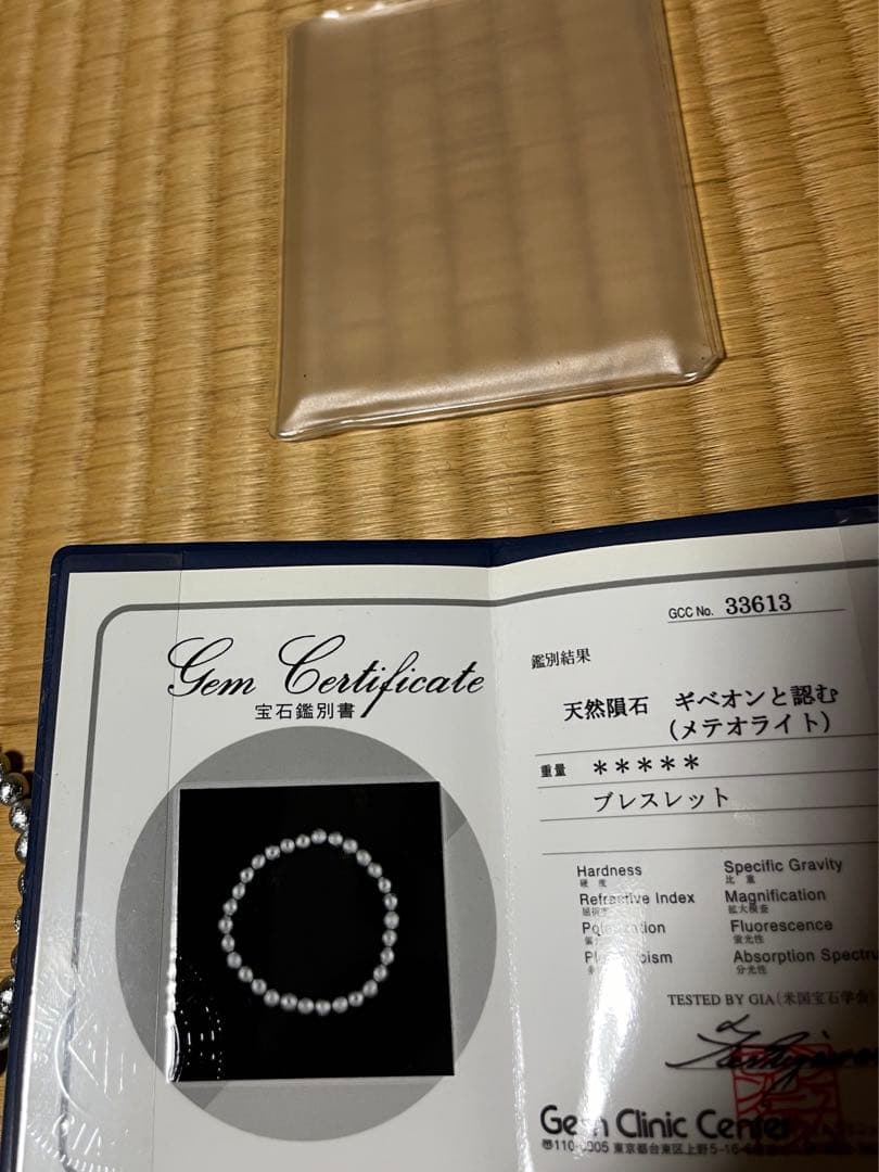 ギベオン　天然隕石　宝石鑑別書 付き