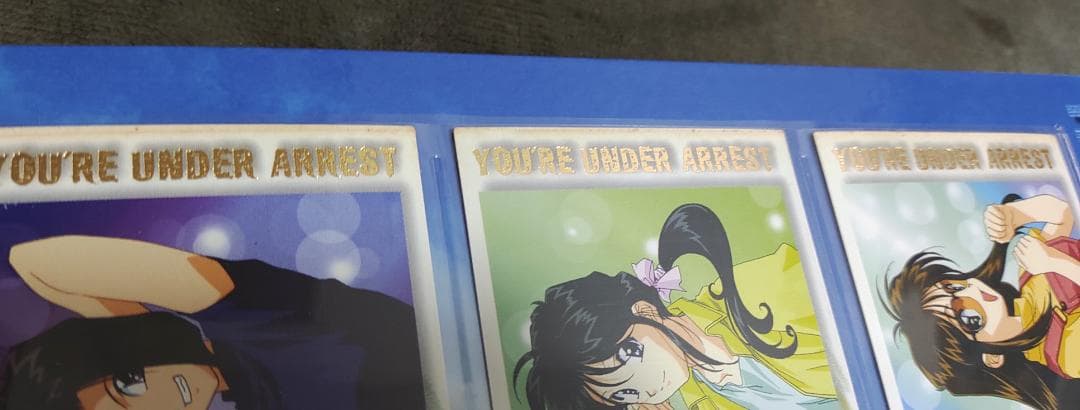 ☆２０２枚　逮捕しちゃうぞ　バインダー＋トレーディングカード　まとめて