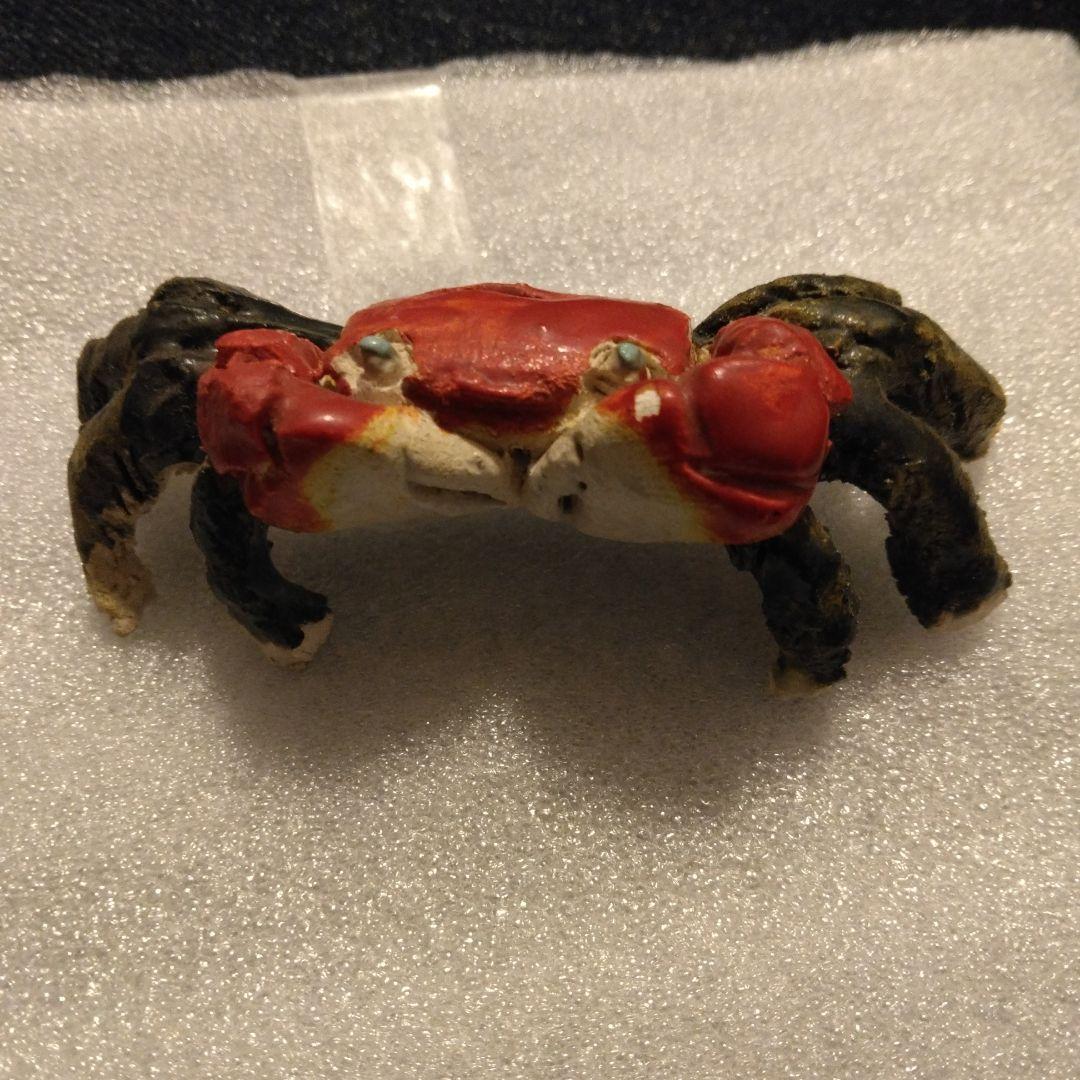 古い蟹　水月焼　楽山　二六