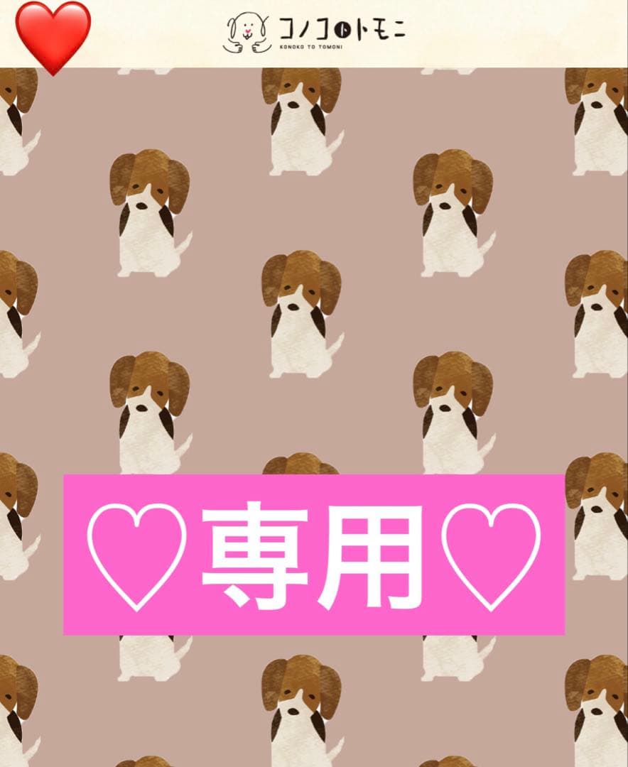 ♡姫ちゃん♡　大型犬のための　このこのごはん　3kg ×3袋　ドッグフード