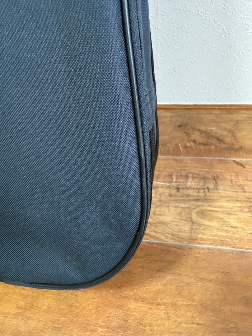 【美品】 Carlo giordano バイオリン VS-0 4/4