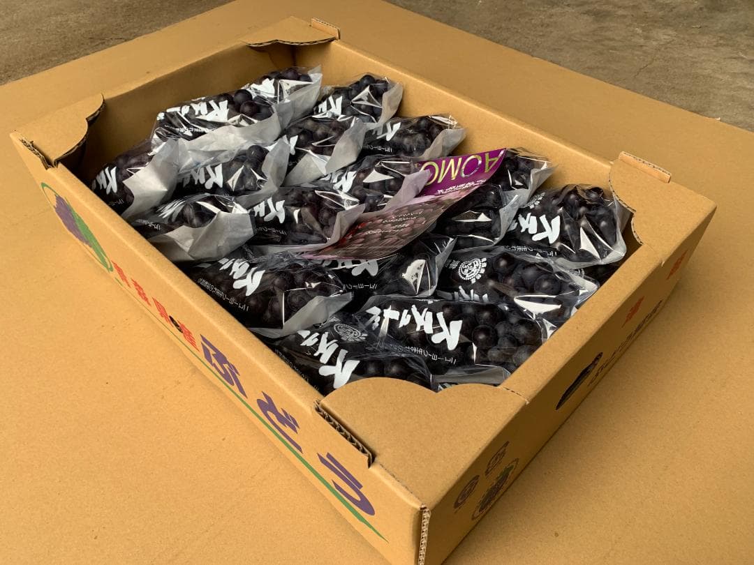 【連休値引】青森県津軽地方産ぶどう　つるたスチューベン　約１０キロ　ご家庭贈答用