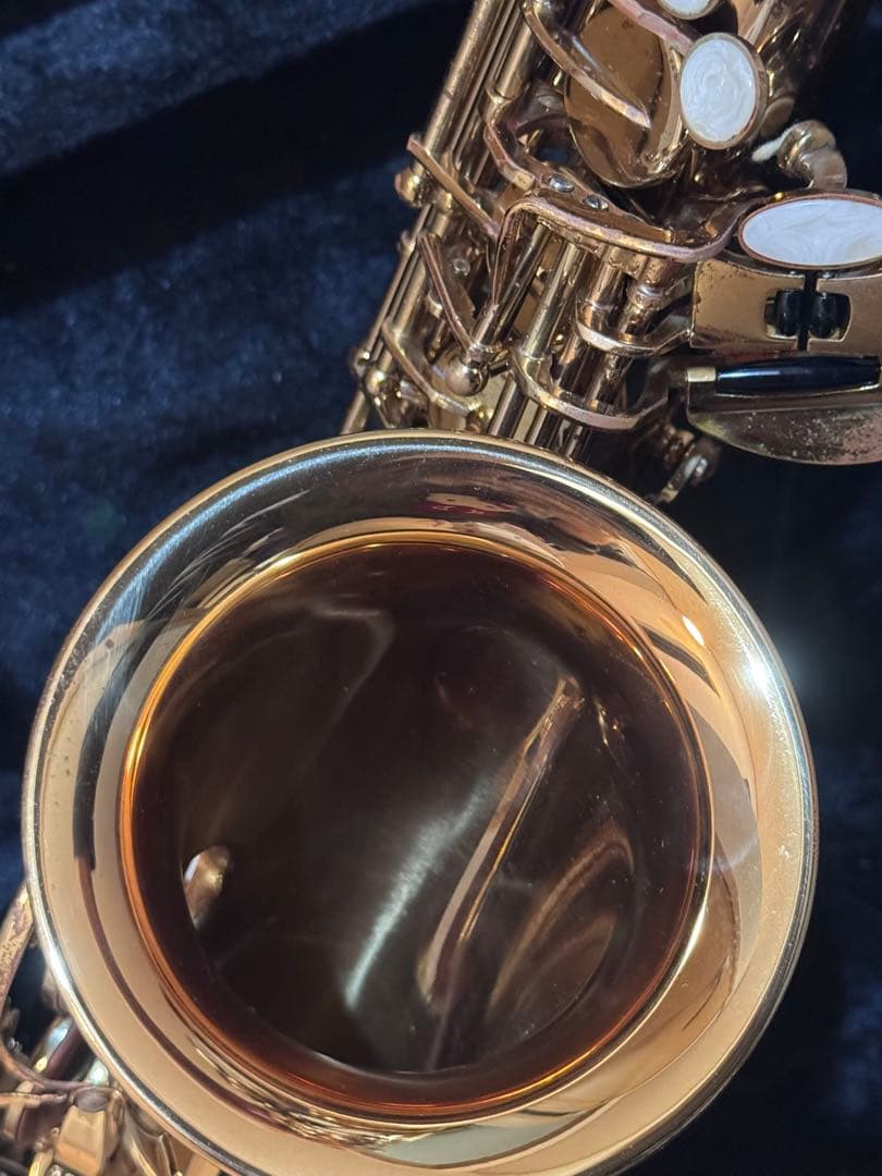 kaerntner ケルントナー　アルトサックス