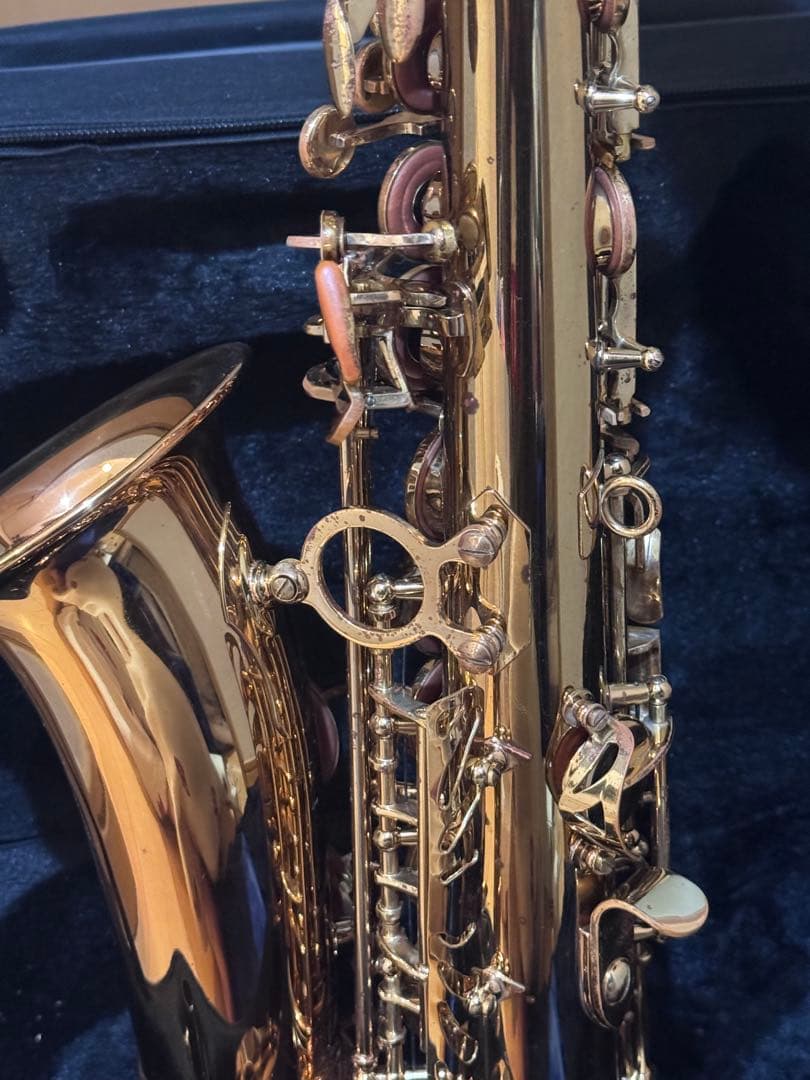 kaerntner ケルントナー　アルトサックス