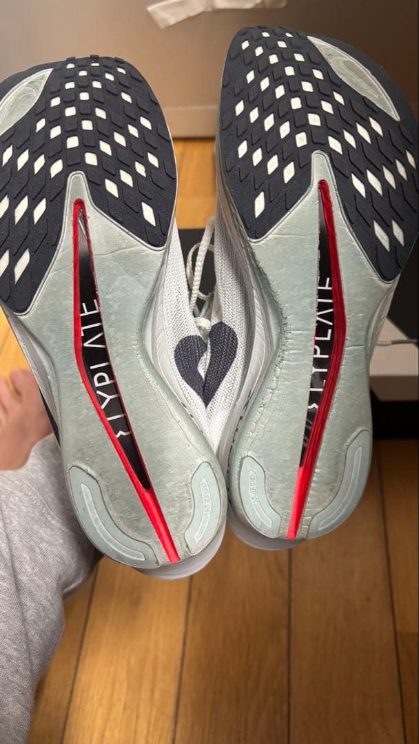 ストリークフライ2 25cm