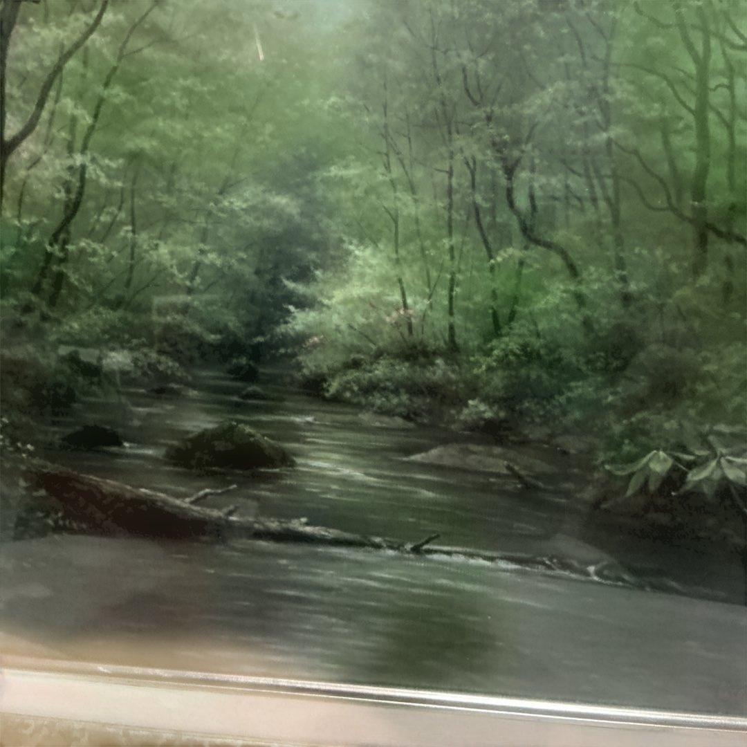 秀ちゃんさん専用　向山一石　（もいやまいつせき）　春光に憩う　「奥入瀬」　F6