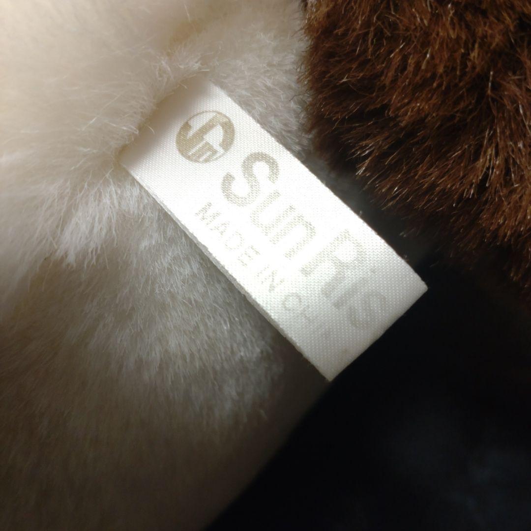 Sun Rise レッサーパンダ