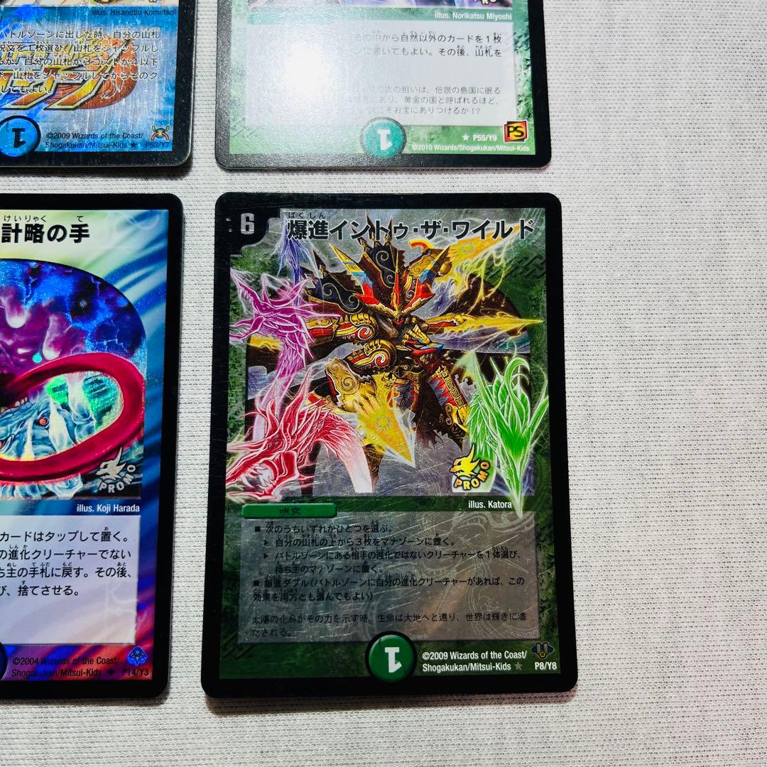 蒼狼の始祖アマテラス　神秘の宝箱　爆進イントゥザワイルド　陰謀と計略の手　プロモ