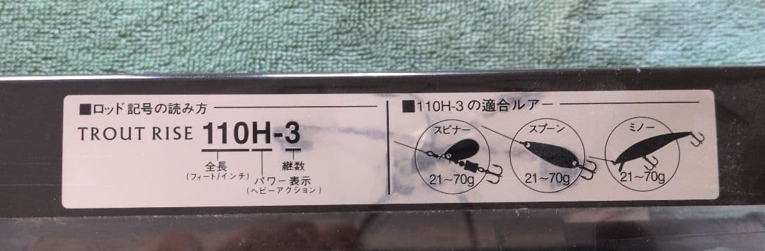 SHIMANO シマノ トラウトライズ 110H② アキアジ　鮭 シーバス