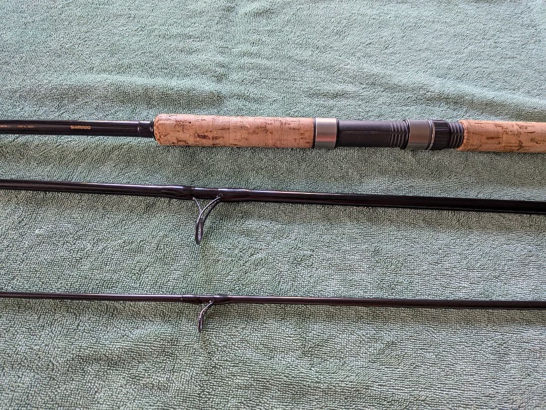 SHIMANO シマノ トラウトライズ 110H② アキアジ　鮭 シーバス