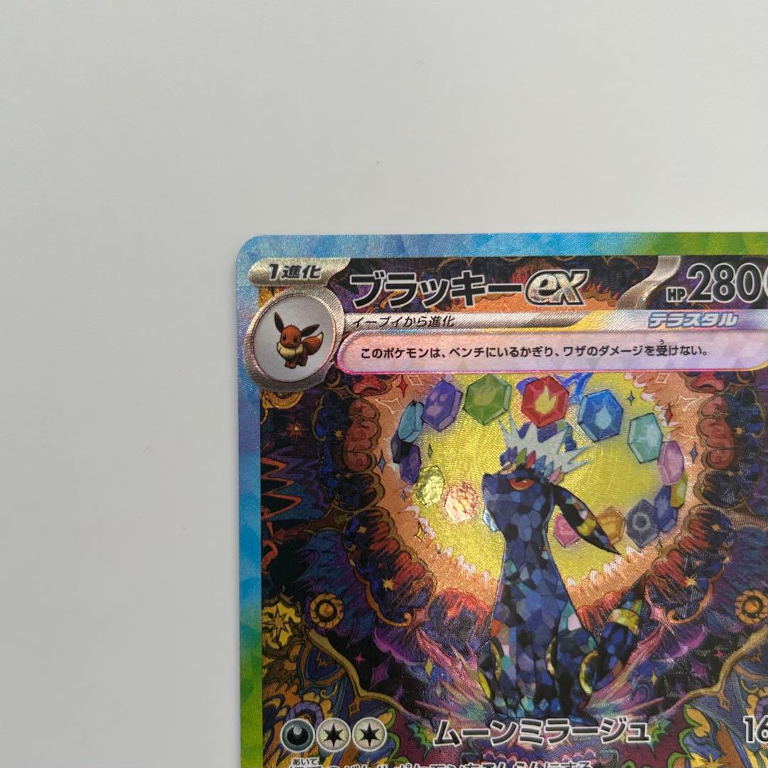 ブラッキーex SAR テラスタルフェスex