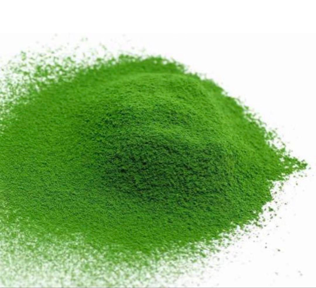 丸久小山園　抹茶　又玄100g×4袋セット