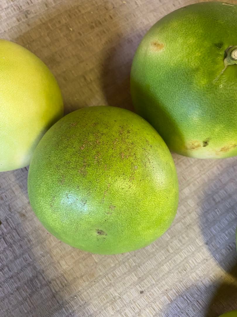 チャンドラポメロ　訳あり　20kg