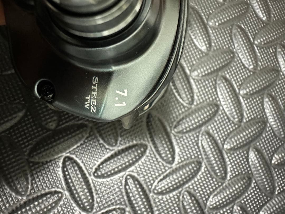 リール DAIWA STEEZ A TW 1016SHL