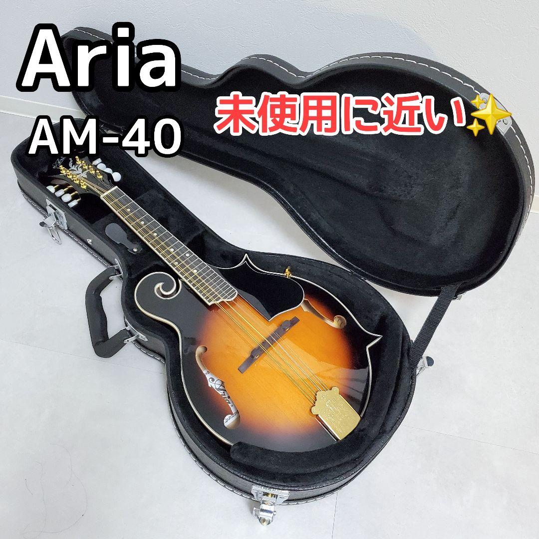 【極美品✨️】ARIA AM-40 フラットマンドリン ハードケース付き
