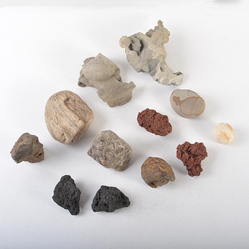 鑑賞石　天然石　木化石　梅化石など　置物　12点まとめて　C　R6254C