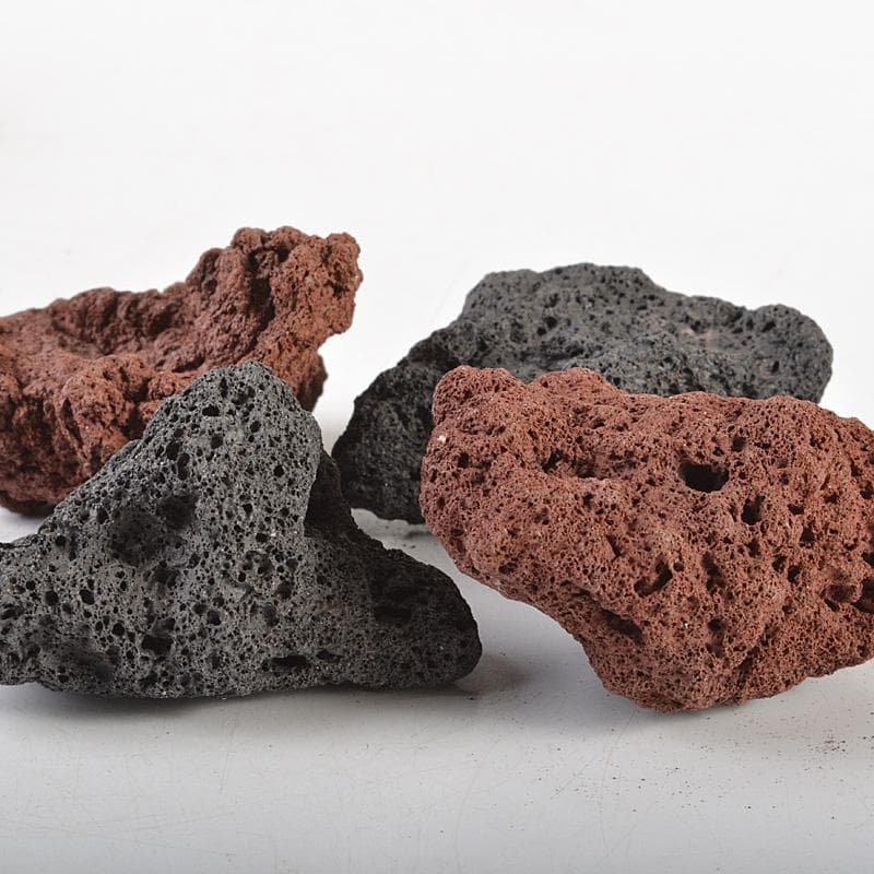 鑑賞石　天然石　木化石　梅化石など　置物　12点まとめて　C　R6254C