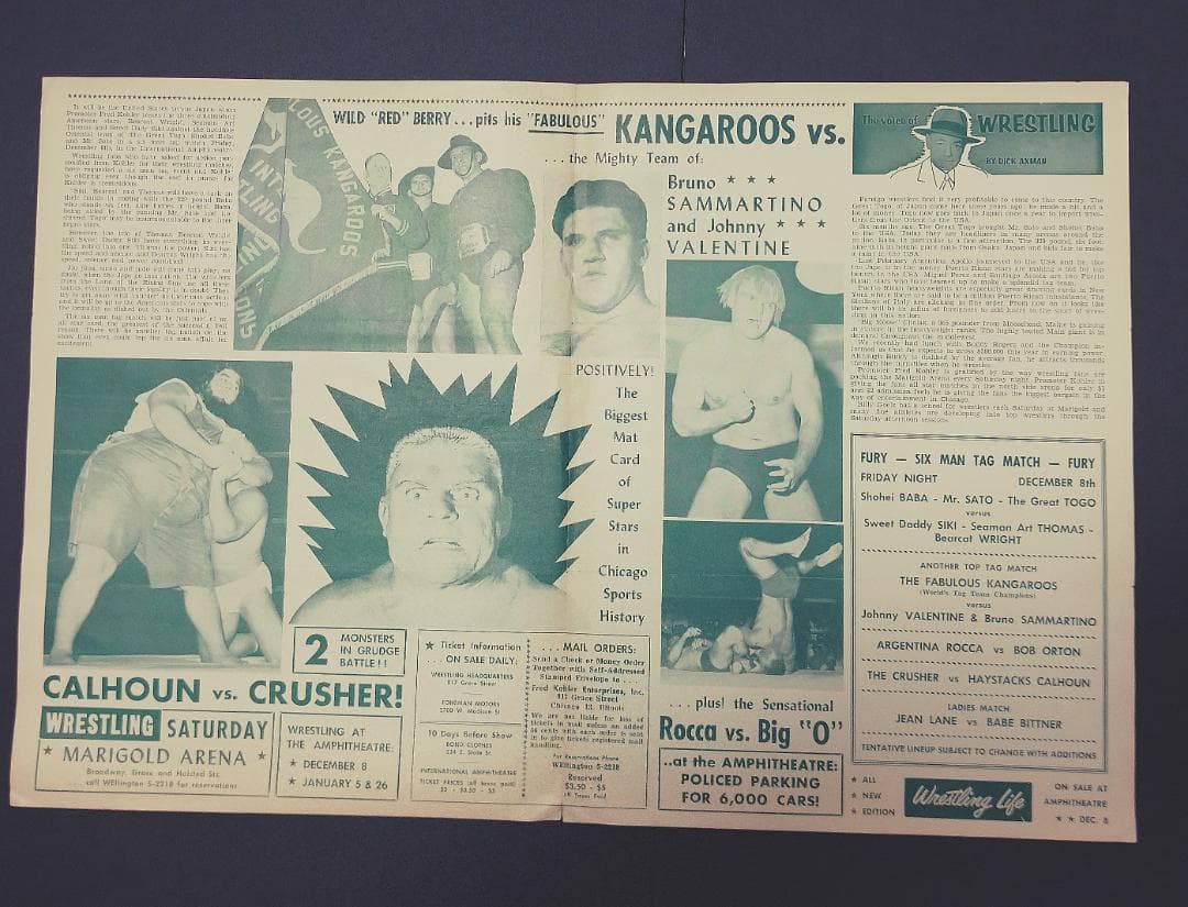 ジャイアント馬場 プロレス プログラム