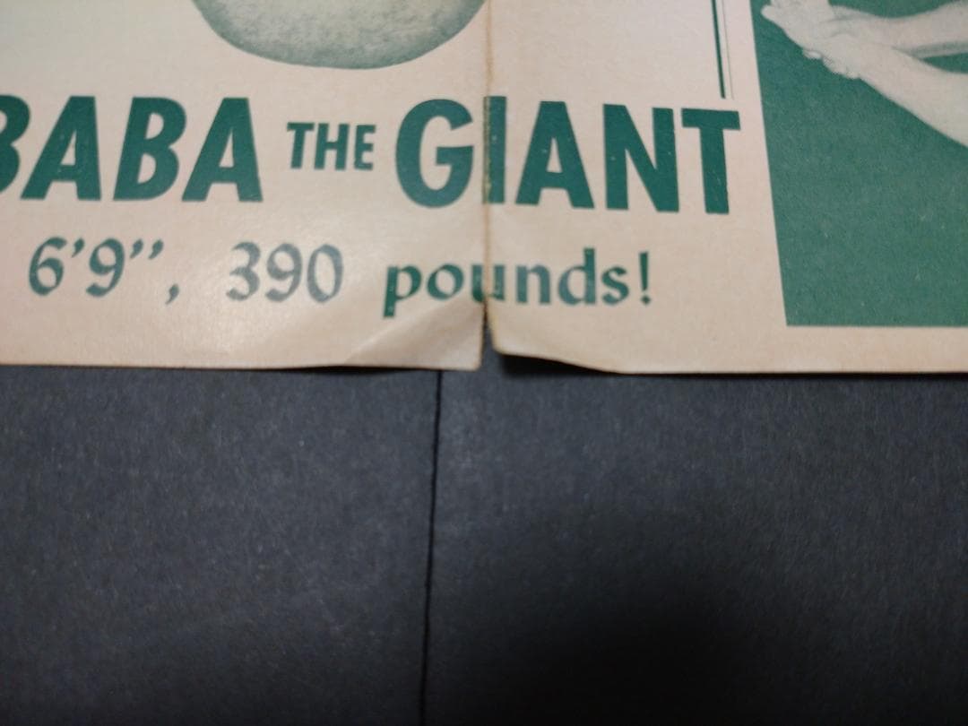 ジャイアント馬場 プロレス プログラム