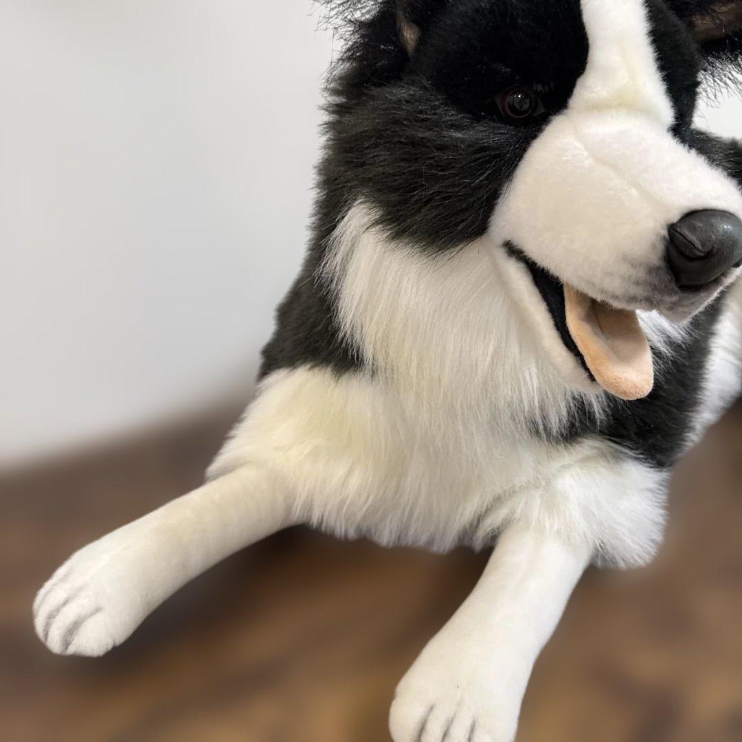 HANSA ボーダーコリー　等身大　ぬいぐるみ　リアル