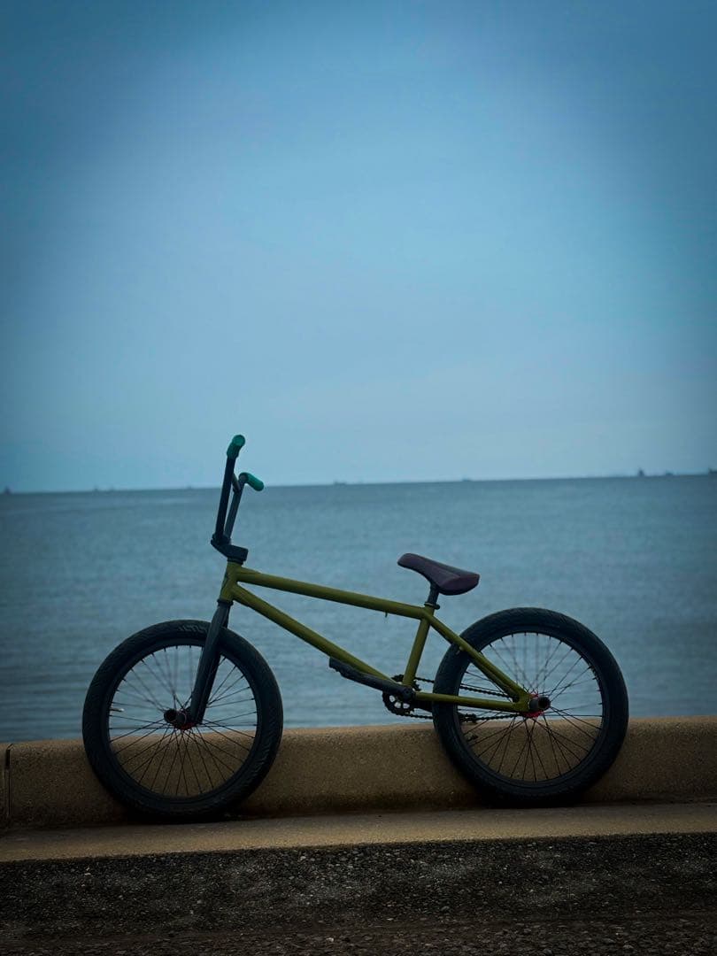 BMX ストリート SUBROSA COMPLETE