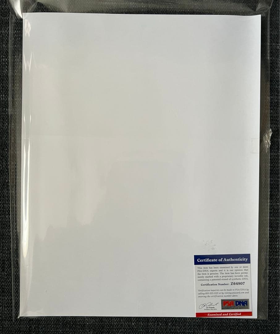 【PSA/DNAサッカーの王様】ペレ直筆サイン入り大型写真！