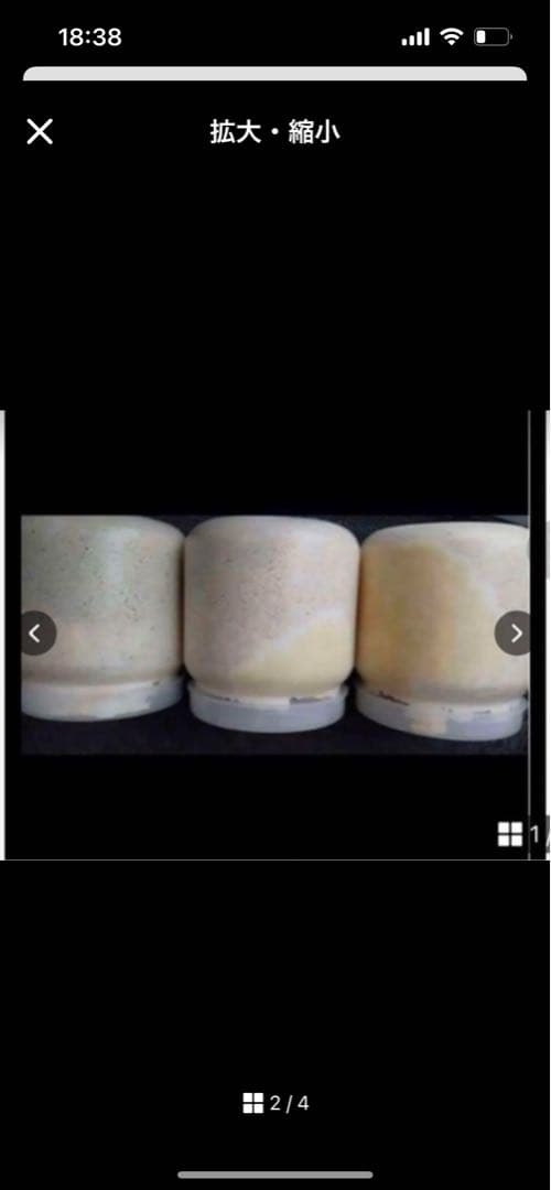 カワラ菌糸瓶1100 10本セット特価最終値引き