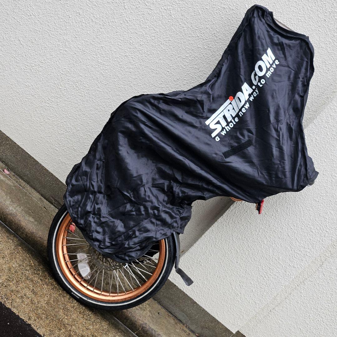 STRiDA EVO 3♪１８インチ♪ストライダ ブロンズ 内装3段変速