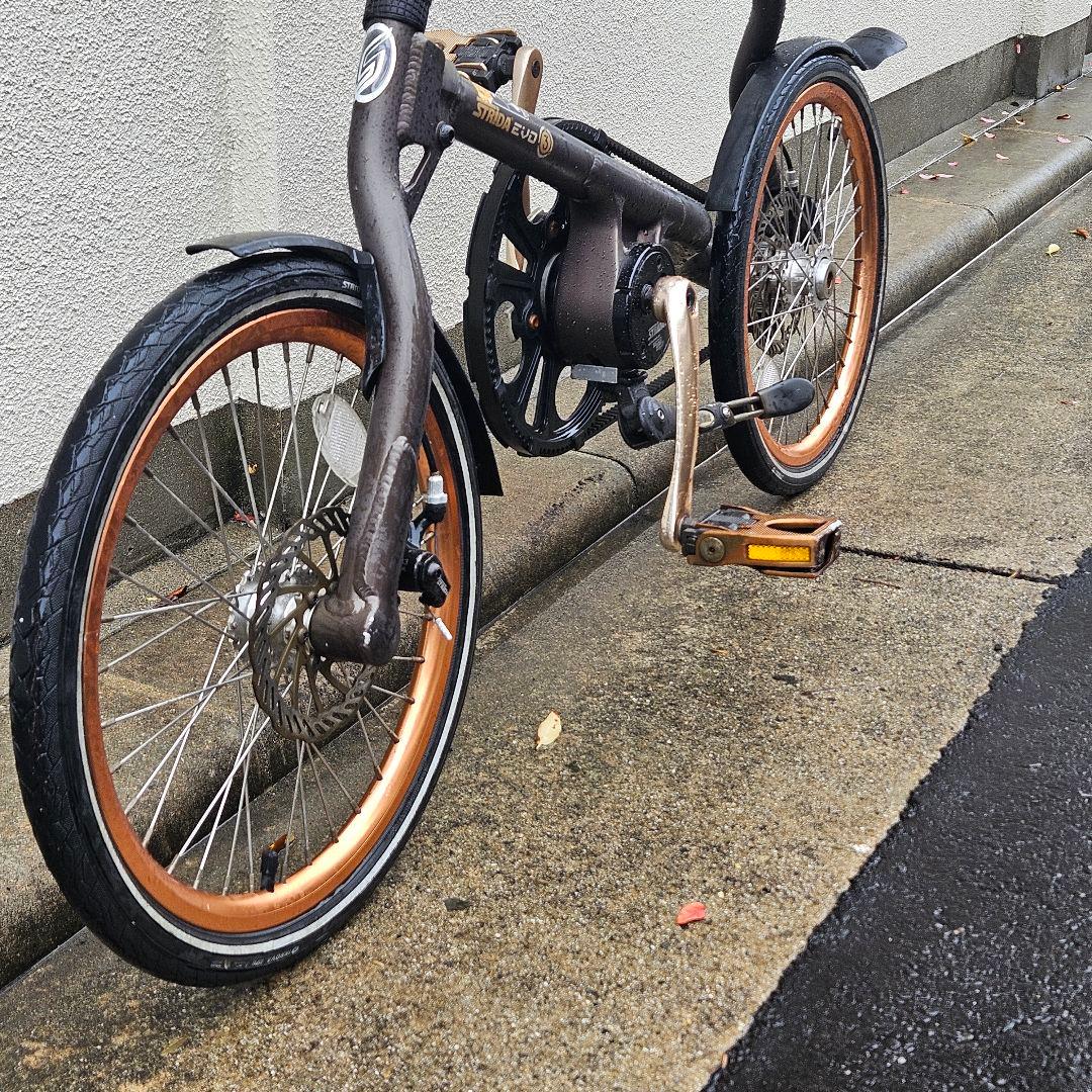 STRiDA EVO 3♪１８インチ♪ストライダ ブロンズ 内装3段変速