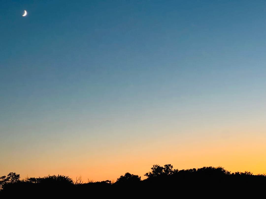 【新月様ご依頼分】専用大粒②ネット＋むき栗②＋手書きクール便＋北海道送料1460