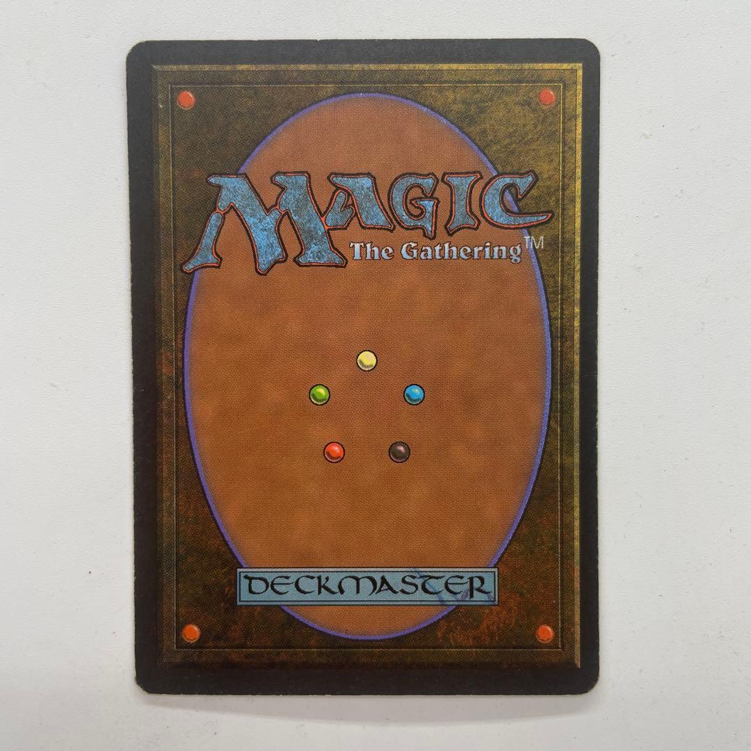 MTG　森の知恵　日本語　第4版　黒枠　旧枠