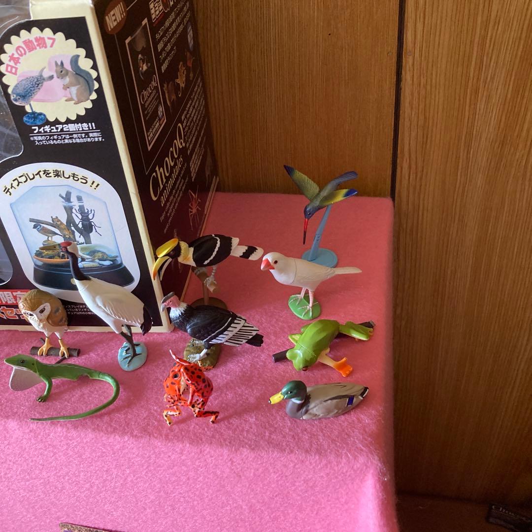 海洋生物動物フィギュアセットわがままな日本の天然記念物カード50枚以上特別ケース