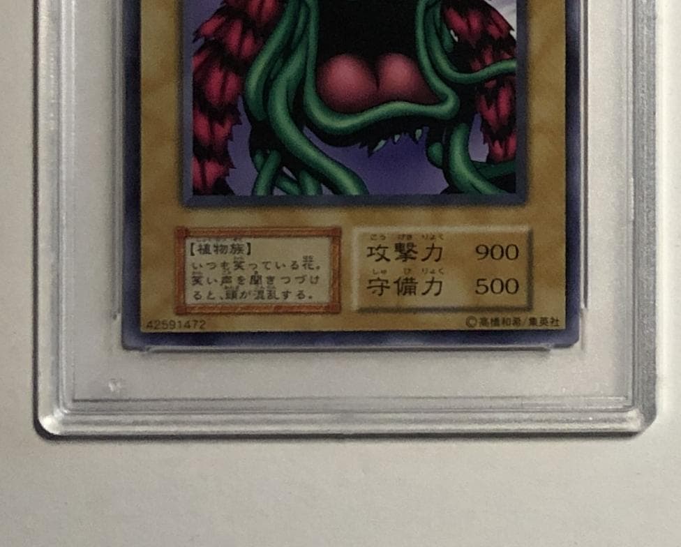 遊戯王 笑う花 PSA10 初期 Vol.6【1999年物】