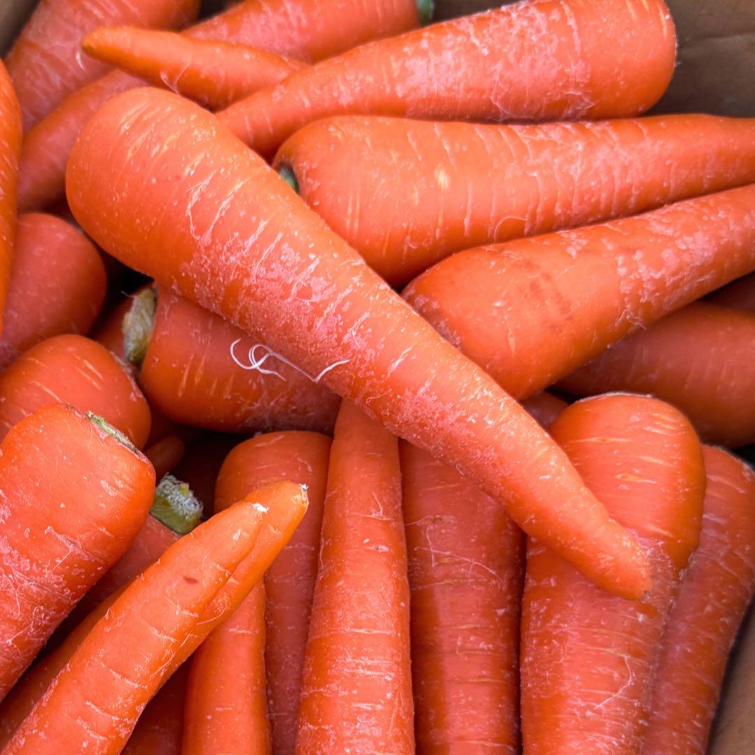 めっちゃ安い　訳あり　人参　20kg 43