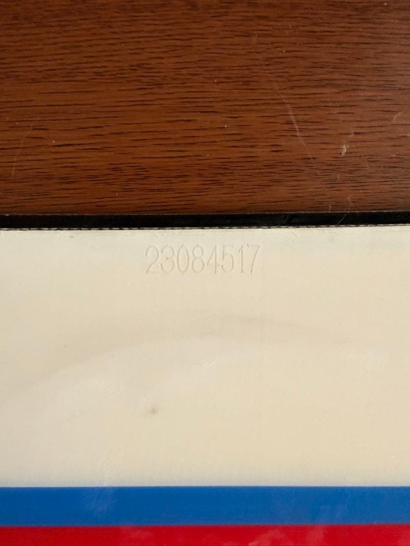 サロモン ダンスホール Salomon 154 23-24モデル