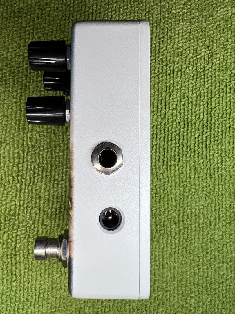 Animals Pedal Custom Illustrated 028光の匂い