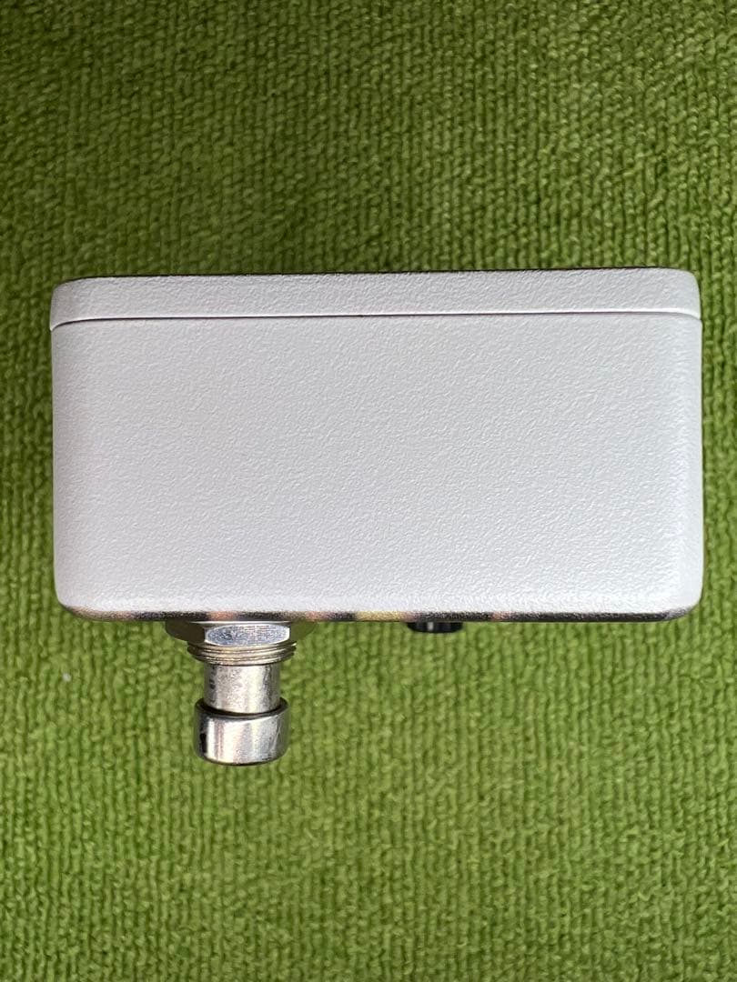 Animals Pedal Custom Illustrated 028光の匂い