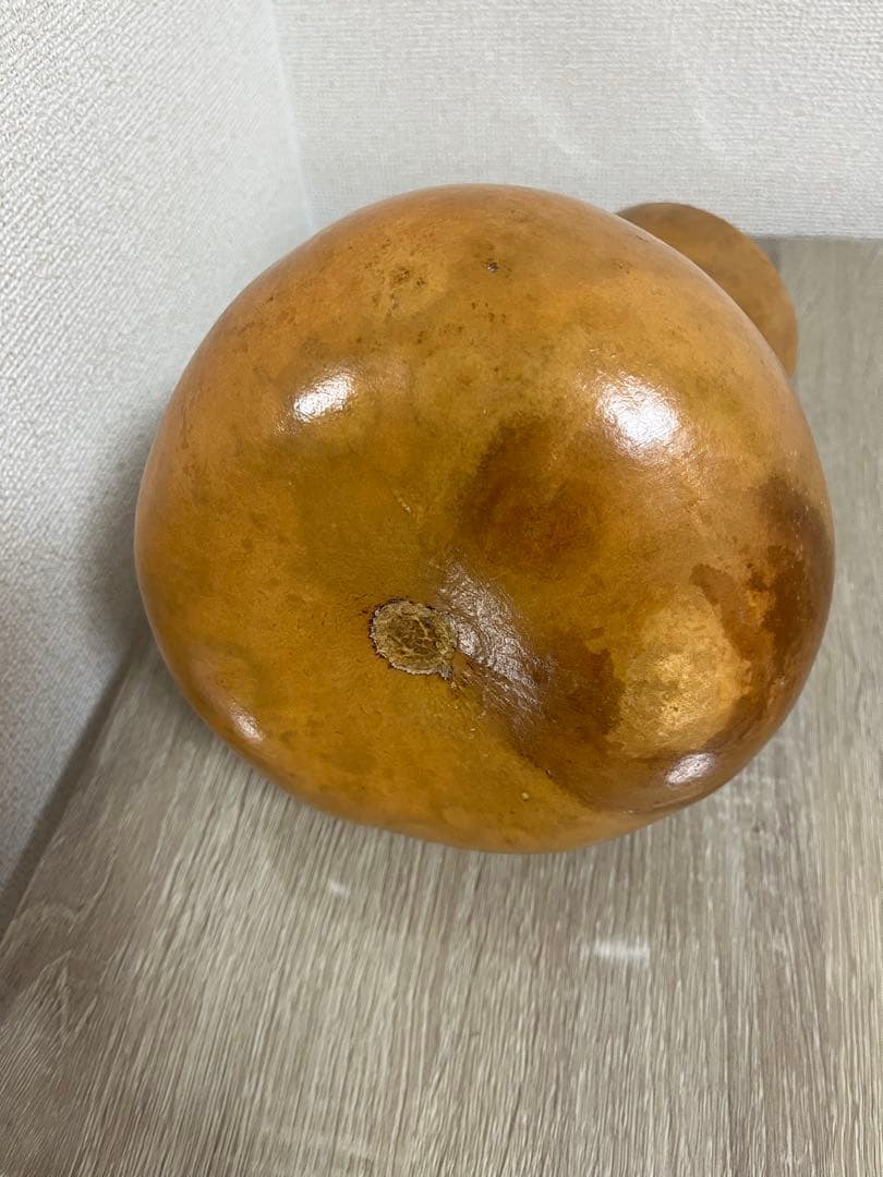 フラダンス　イプ