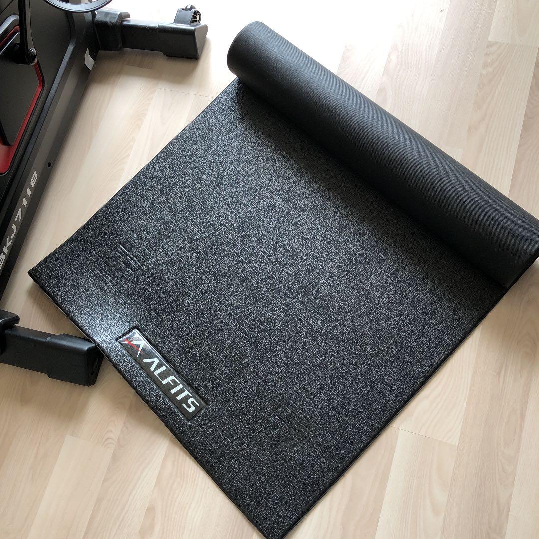 お値下げ！　アルインコ