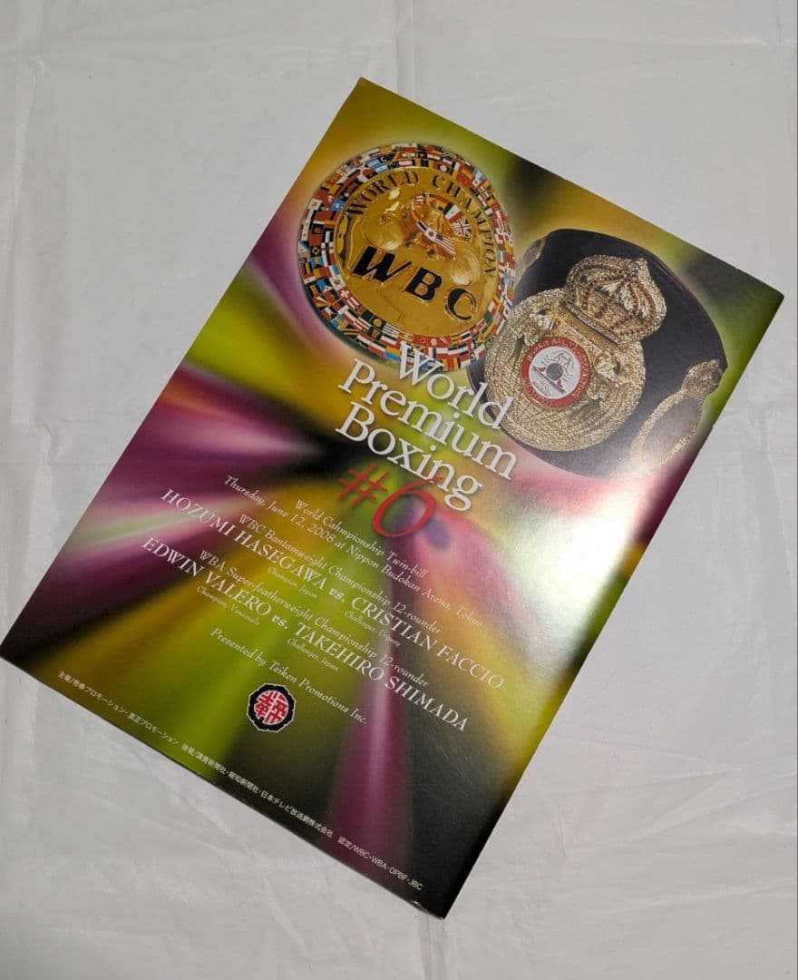 ボクシング パンフレット 長谷川穂積×ファッシオ他 Boxing Program